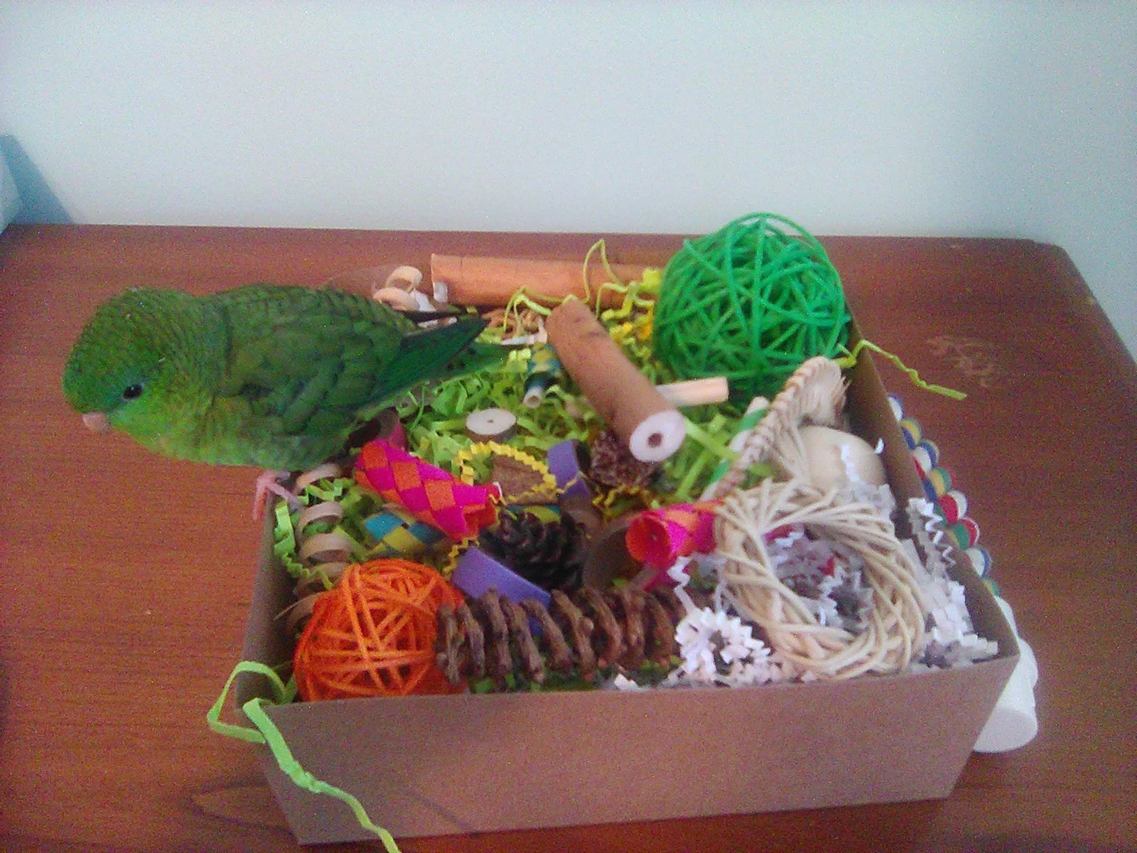 IMG_0011.edit1.webp