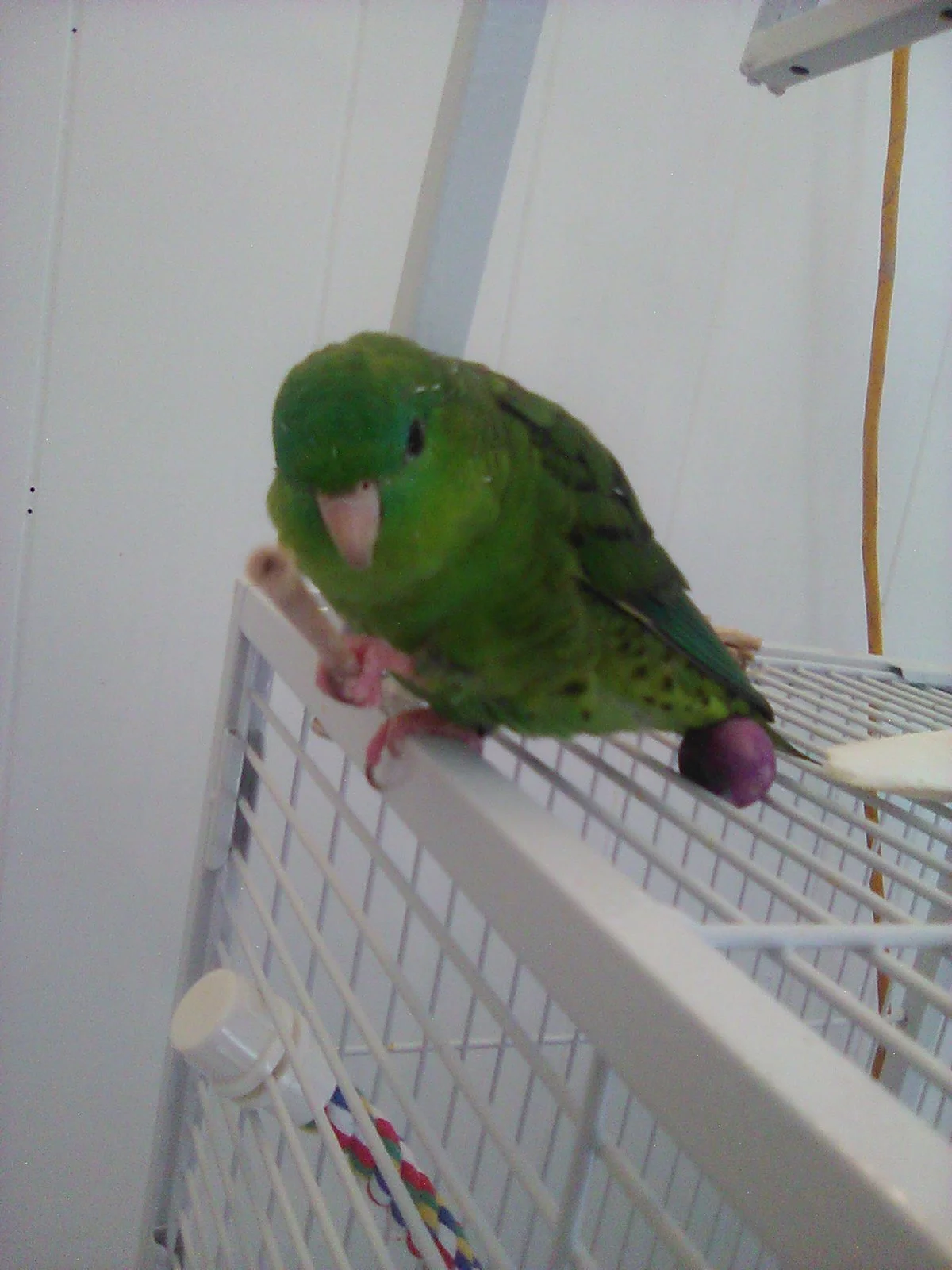IMG_0361.webp