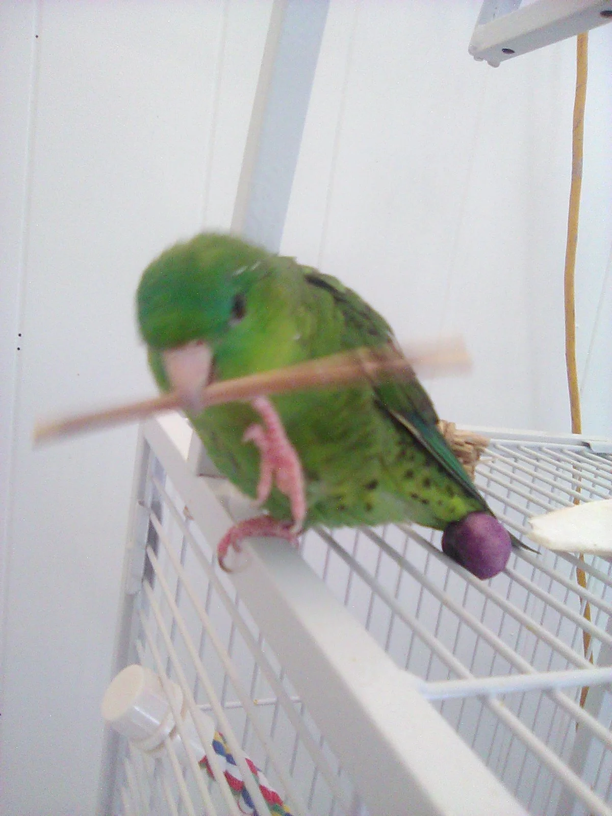 IMG_0367.webp