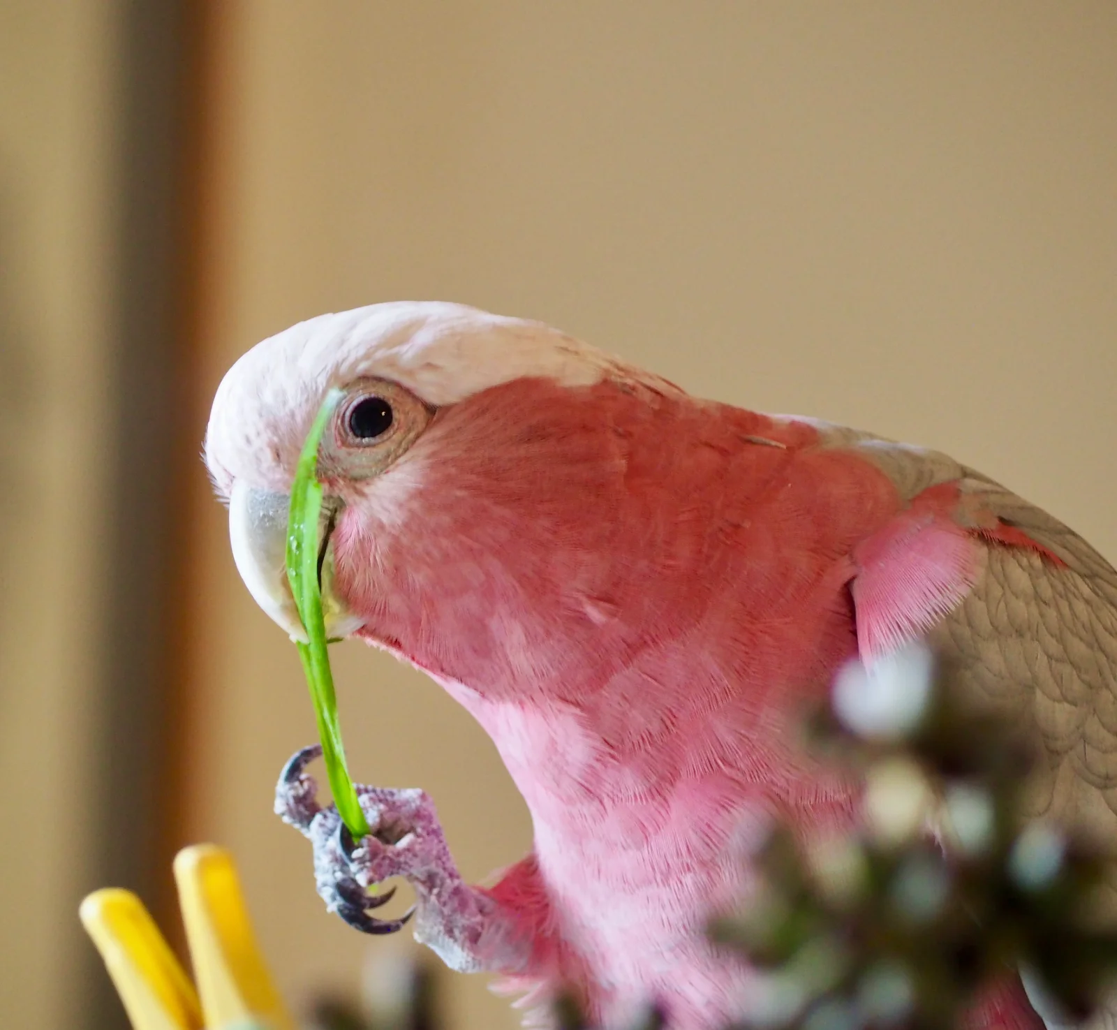 IMG_0592.webp