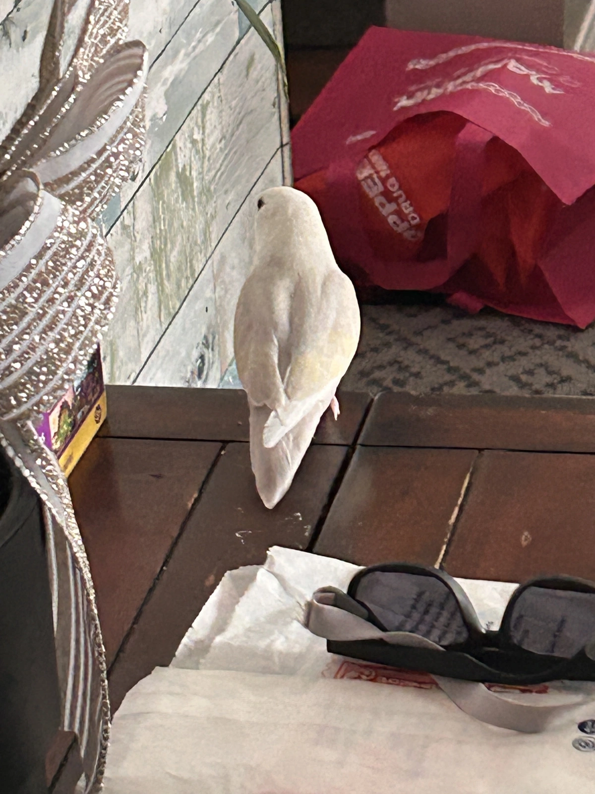 IMG_1156.webp IMG_1156.webp