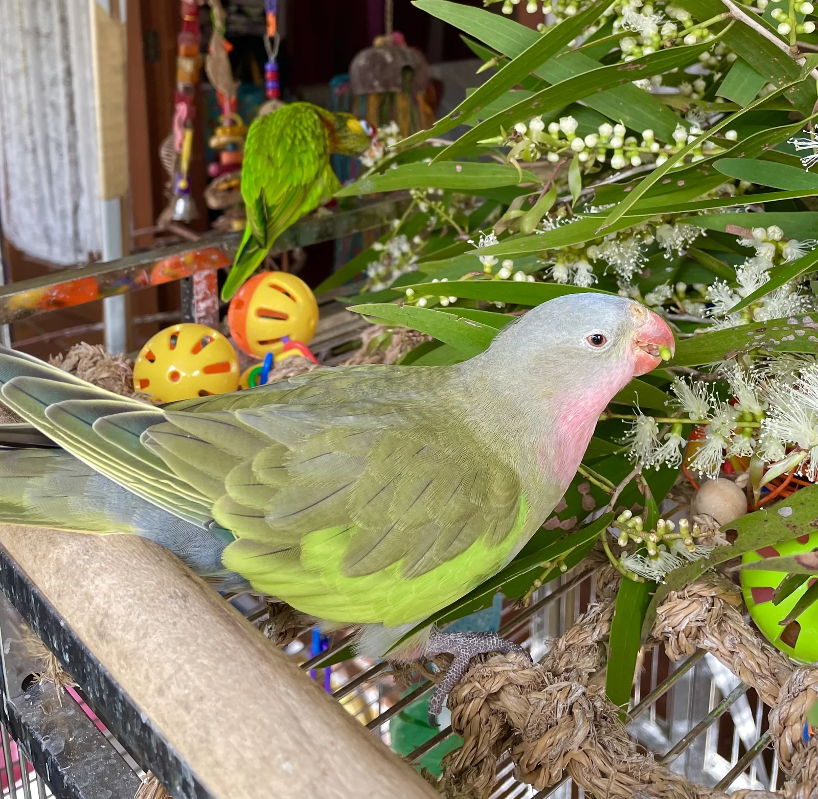 IMG_1834.webp