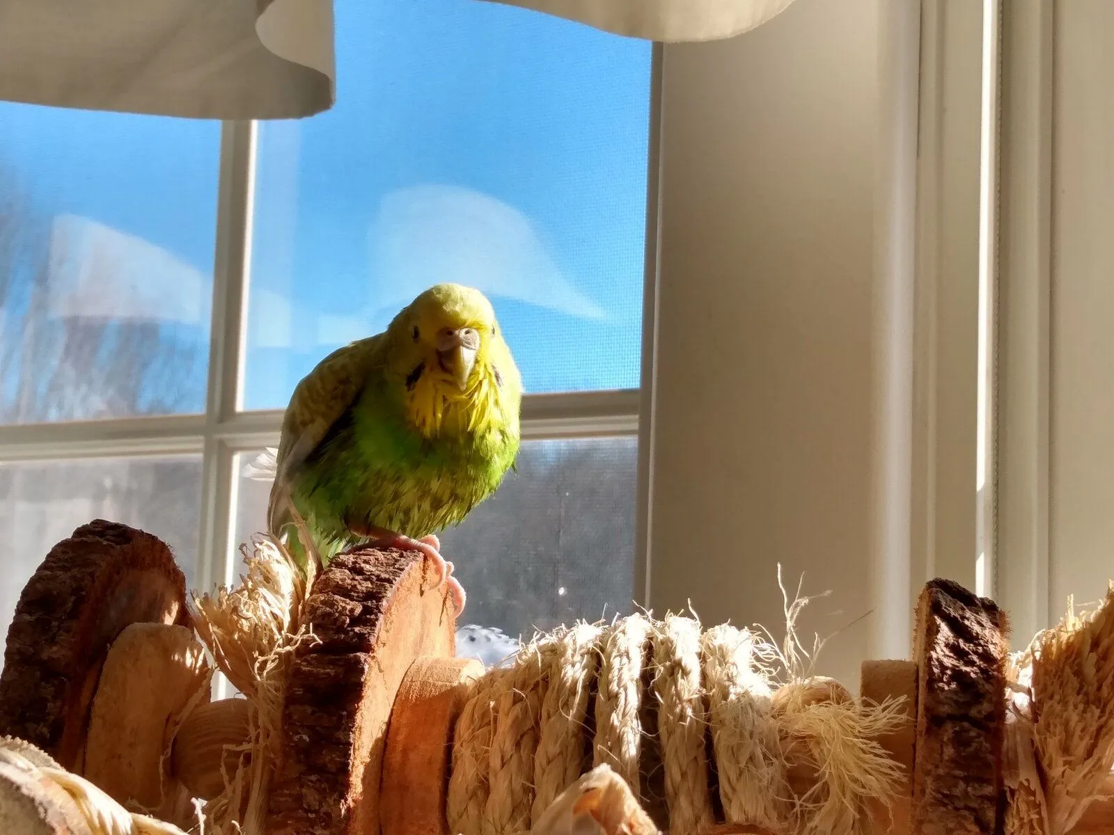 img_20221107_102432813_hdr-jpg.55499