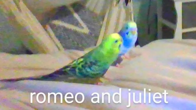 img_20230929_211958-jpg.55072