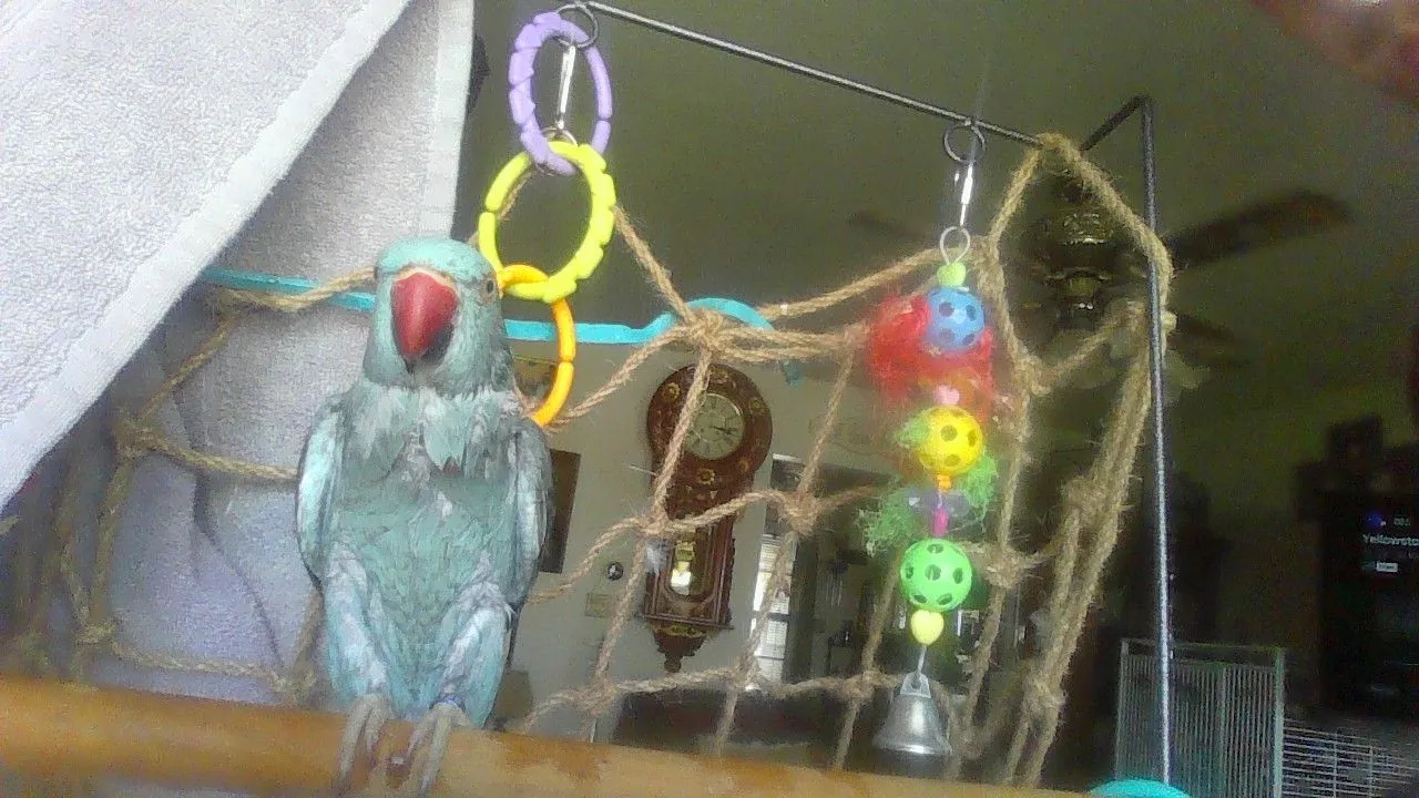 img_20240406_151653-jpg.58632