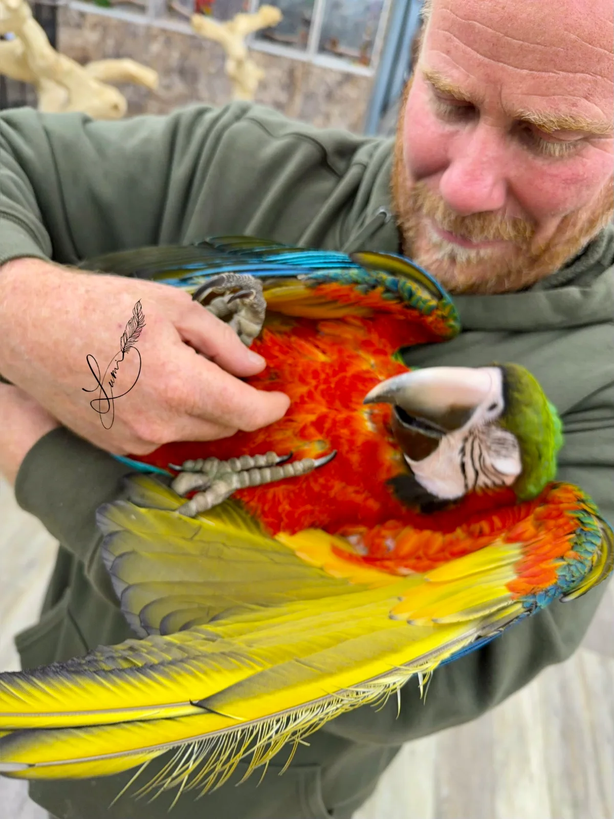IMG_2253.webp