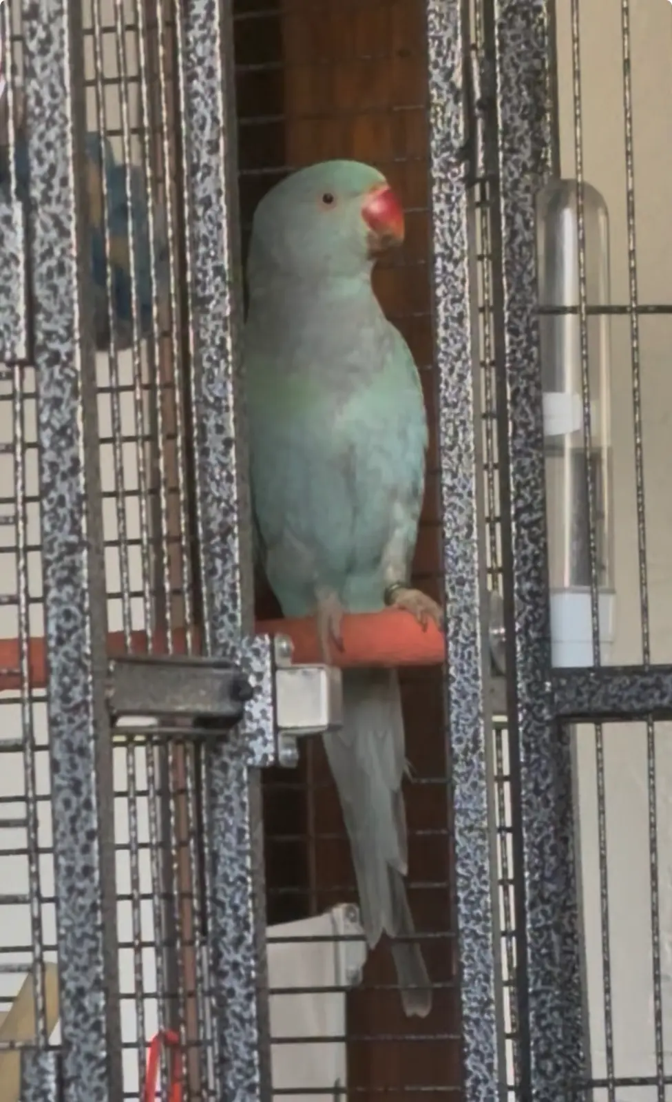 IMG_3020.webp IMG_3020.webp