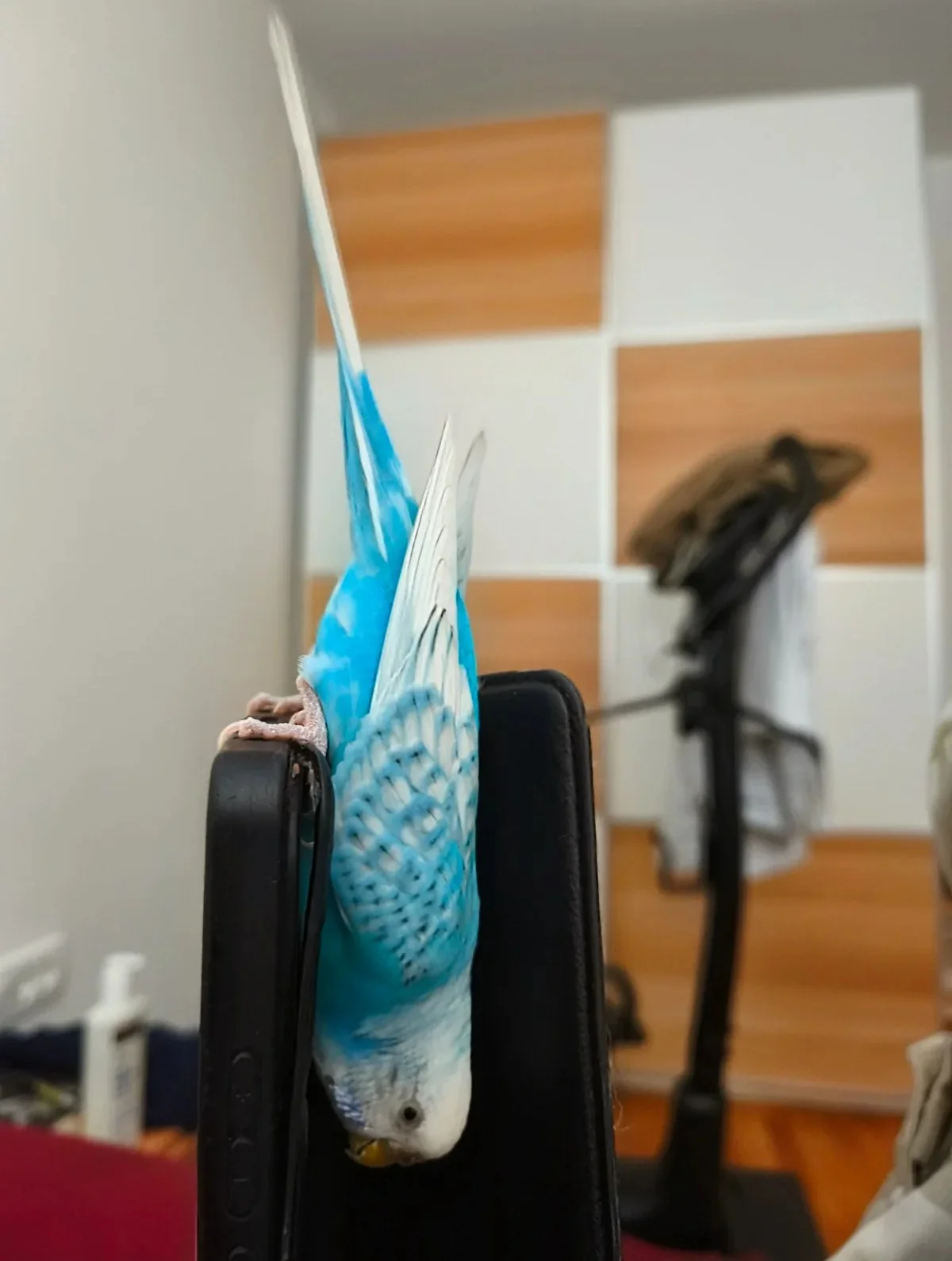 katyajul26.webp