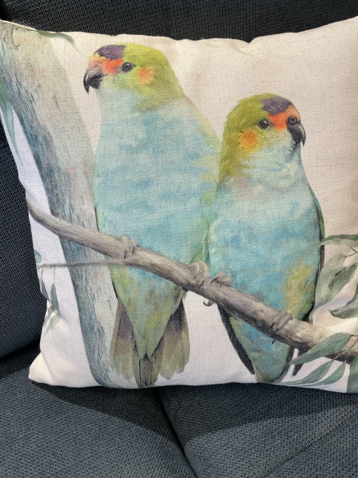 lillycushion.webp