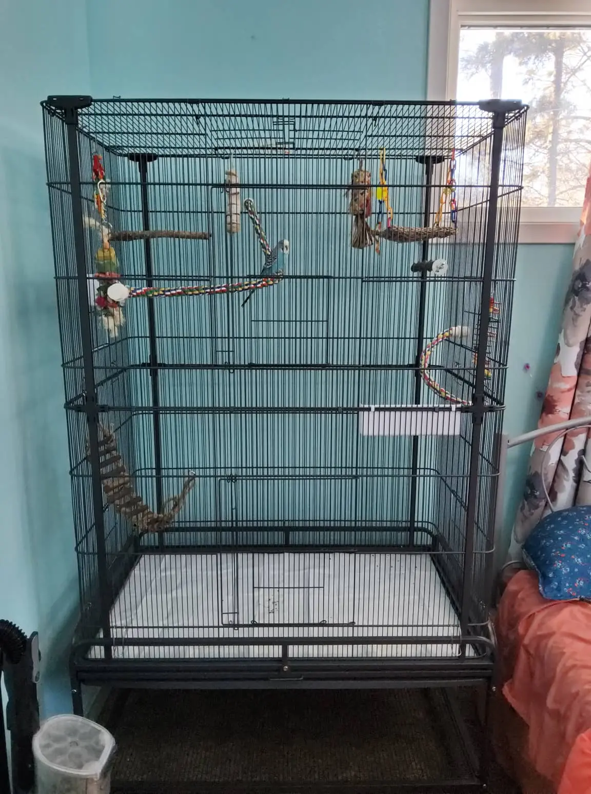 Messenger Kids_creation_278365608.webp