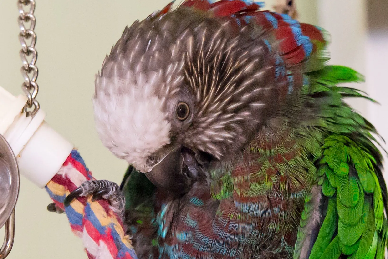 Nike1-30-17-January 30, 2017-1.jpg