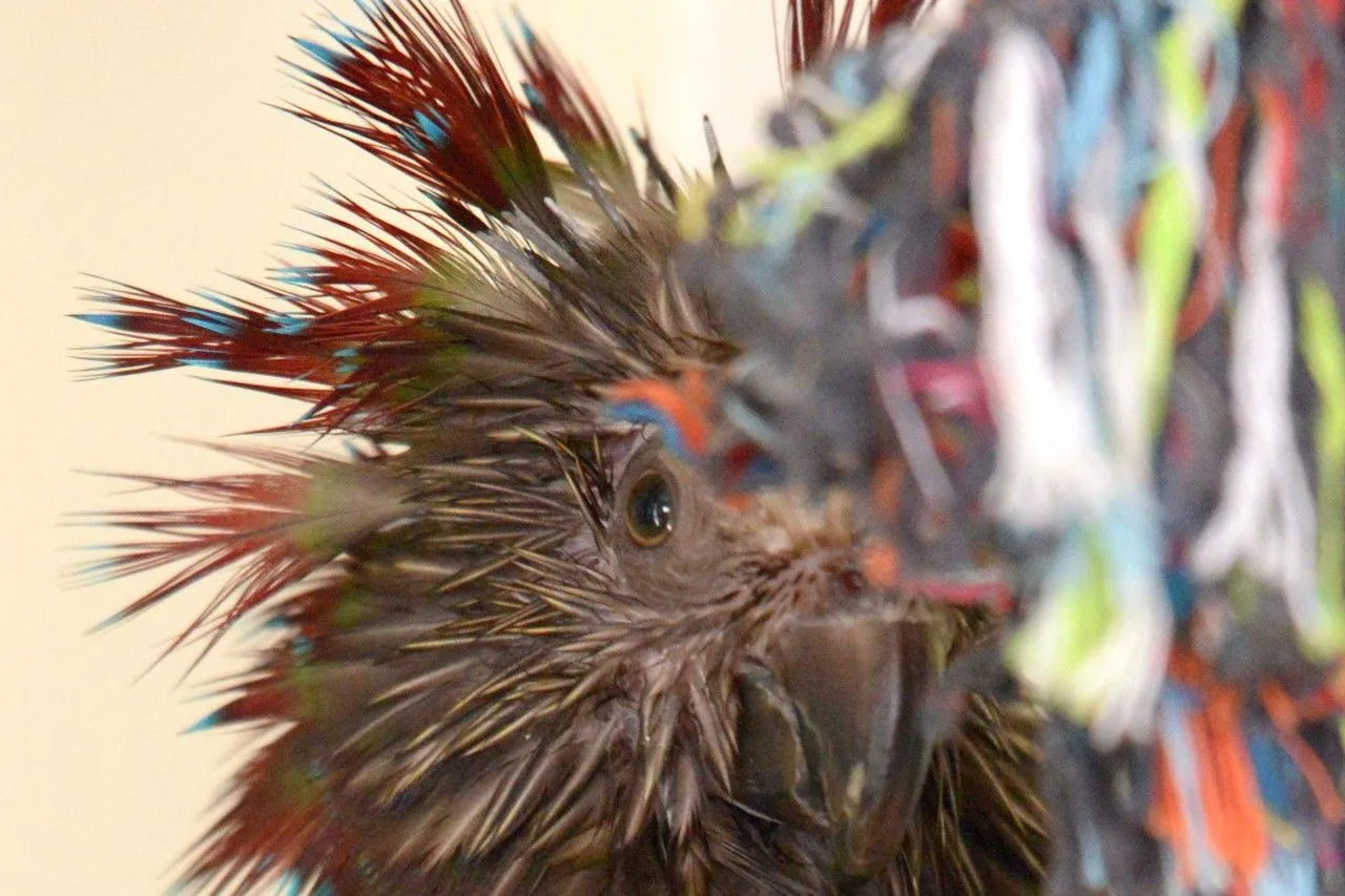 nike2-4-17-2-jpg.58768