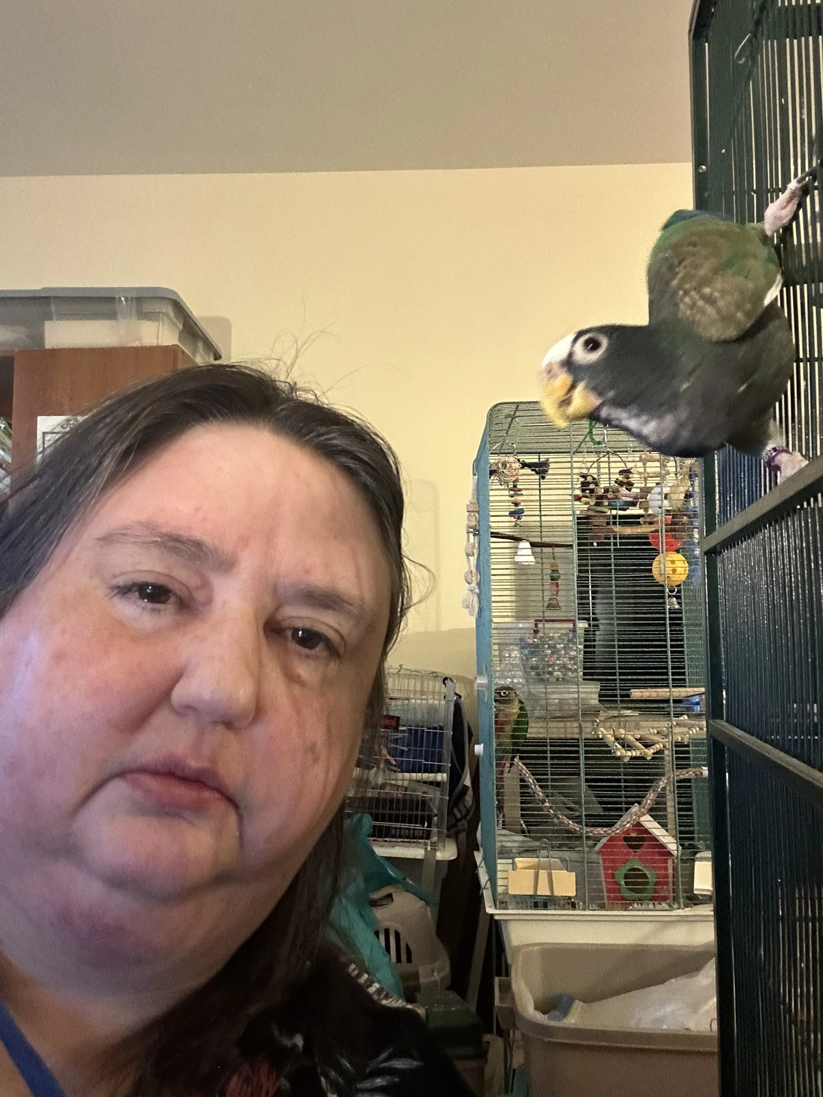 NL and Vortex_Good.webp