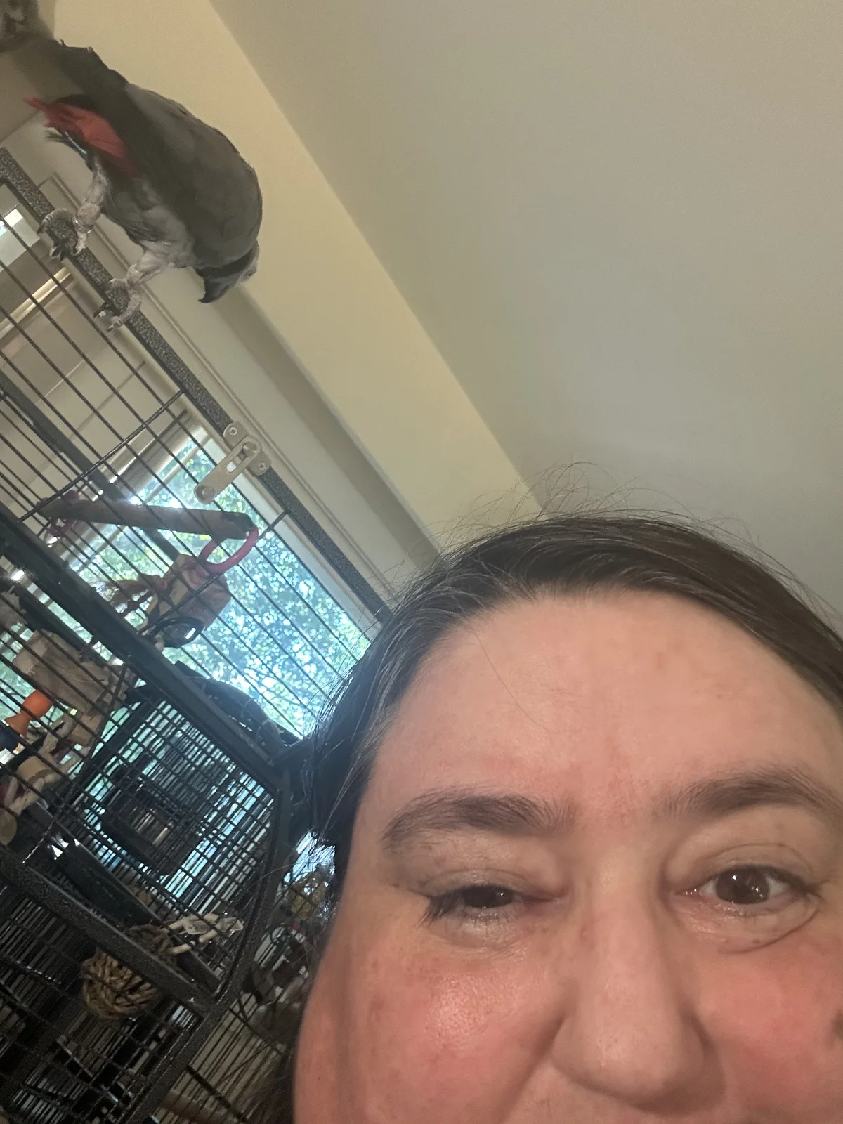 NL smile with Yvons_Aug 2026.webp