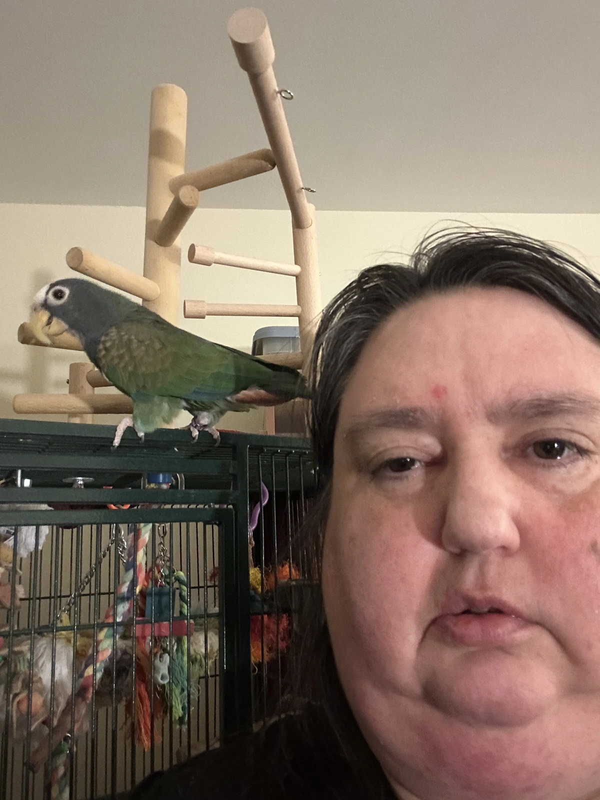 NL_and vortex_5.webp