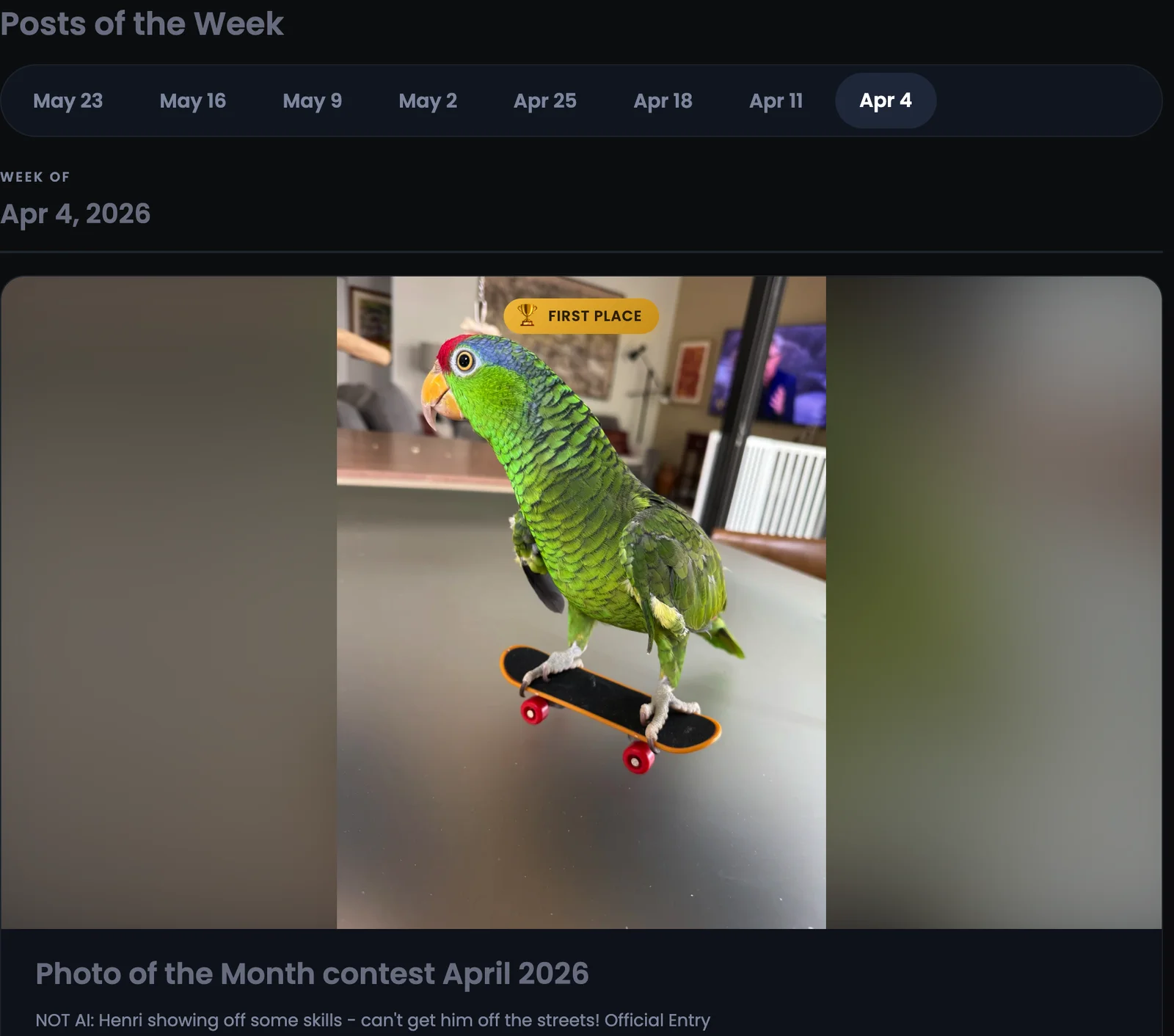 ParrotForum-POTW.webp