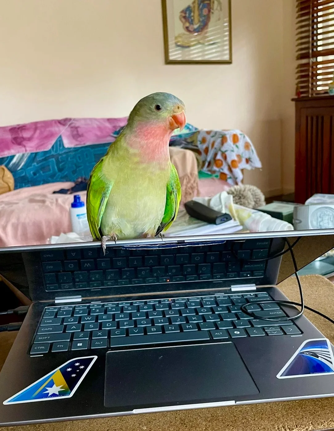 prettypeachie.webp
