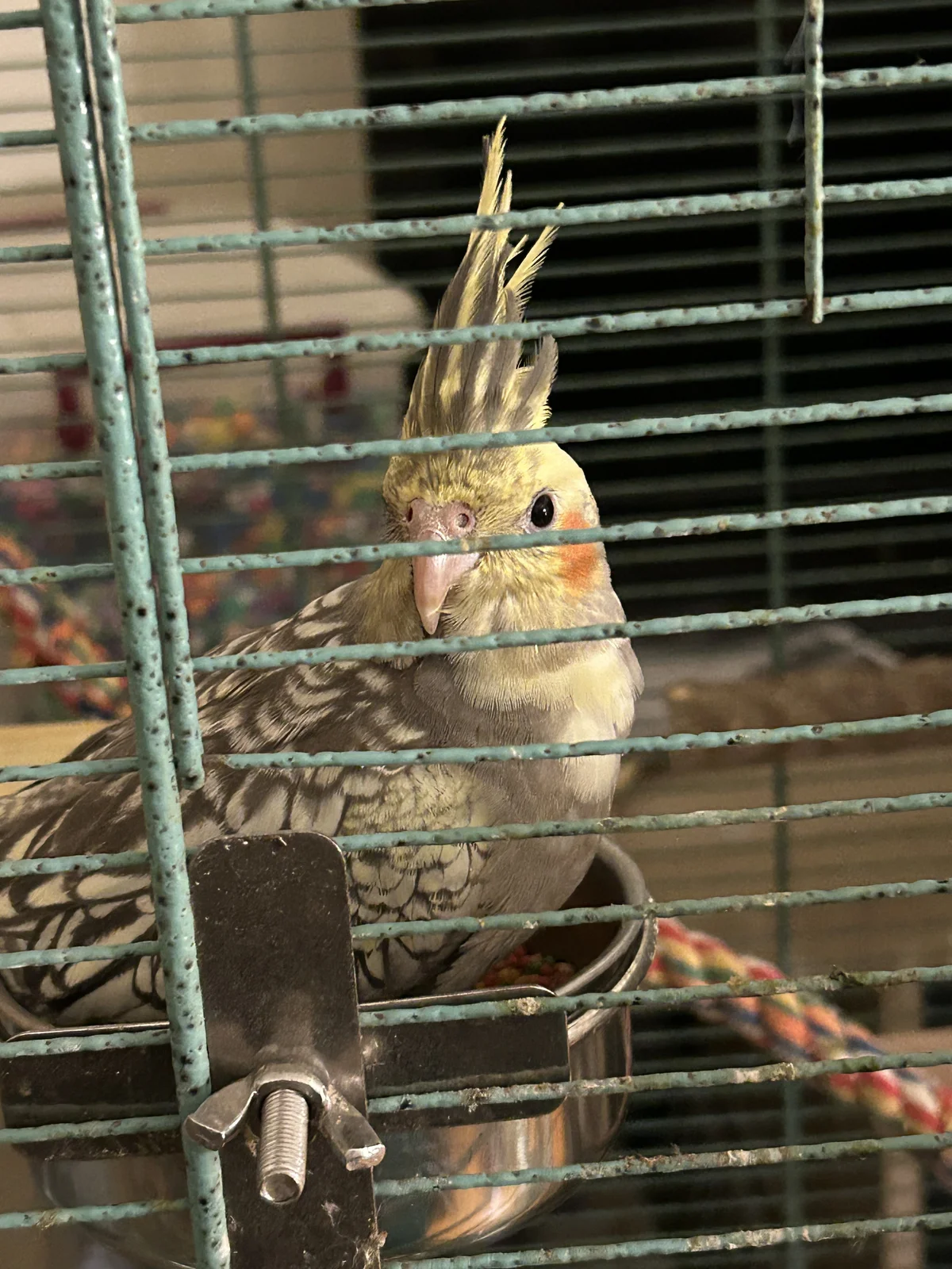 Quark curious_Oct 8 2026.webp