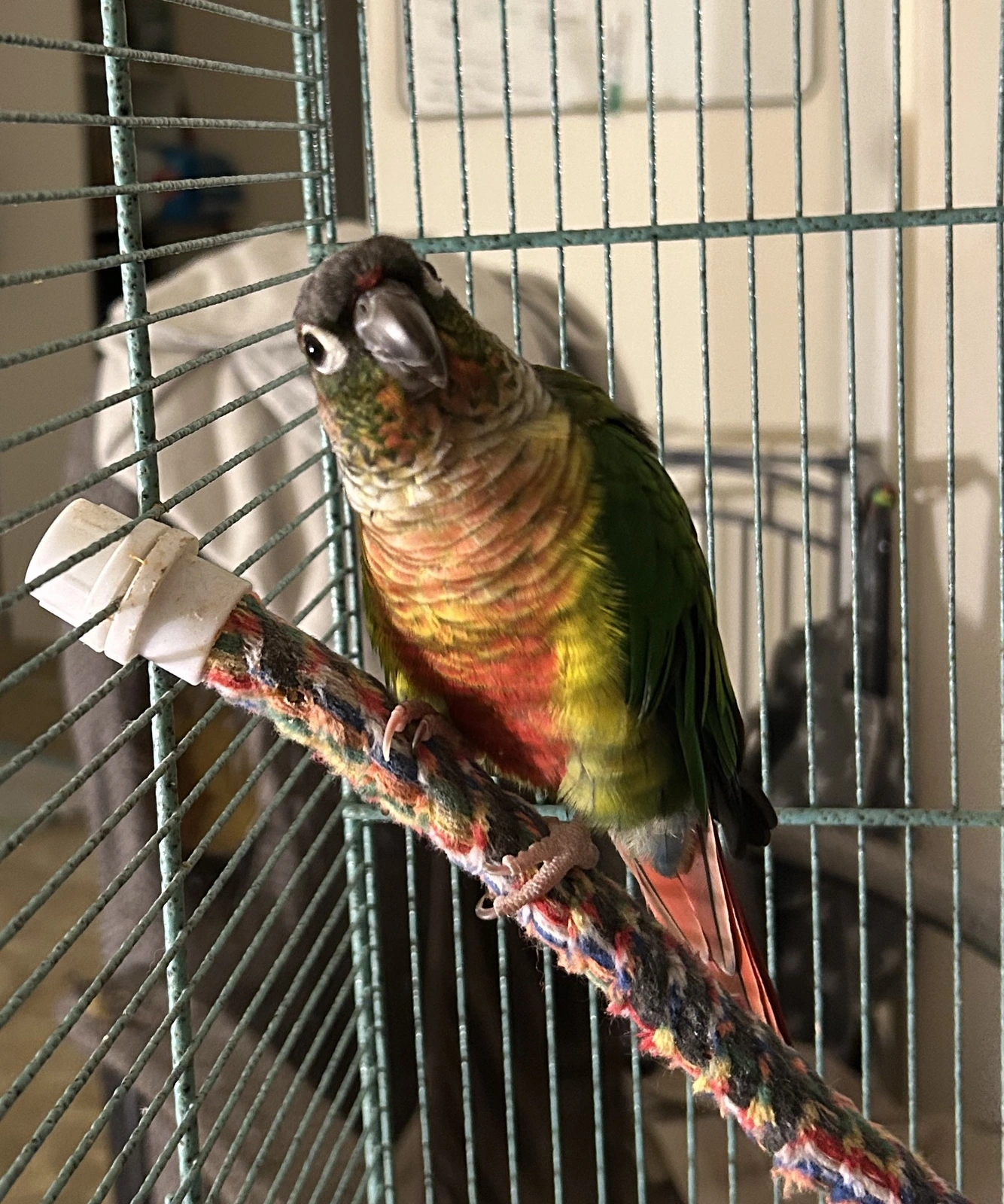 QUasar first day home_new pix_sept 28_2025.webp