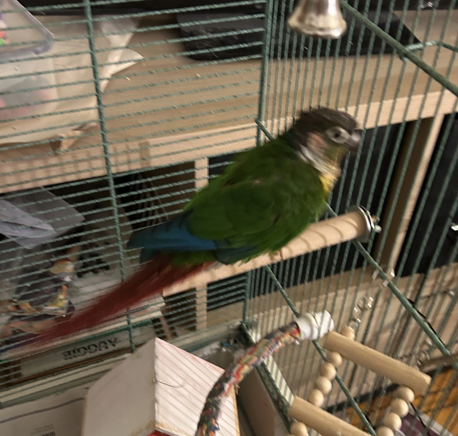 Quasar_Nov 8 2025_Blurry.webp