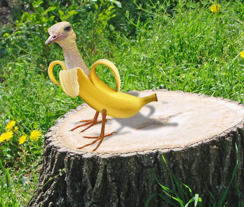 real_life_banana_bird_by_silverbuller_d8h1b0b-fullview.webp
