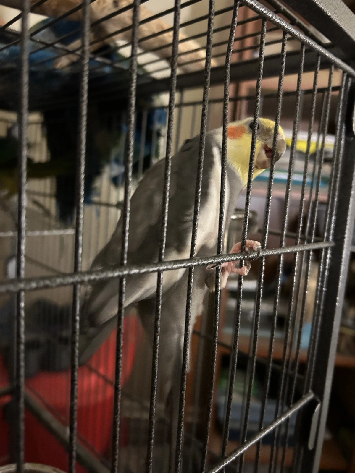 Redshift_oct 23_2025.webp