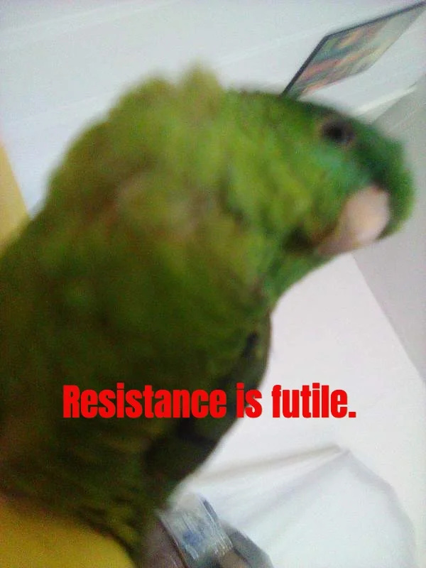 Resistance is Futile.webp