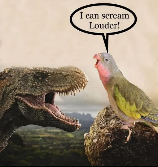 screamlouder.webp
