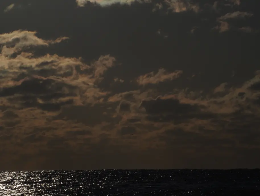 Screenshot 2026-02-01 at 2.27.04 PM.webp