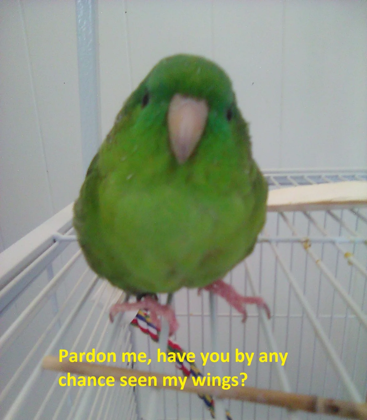 Screenshot 2026-08-27 214919.webp