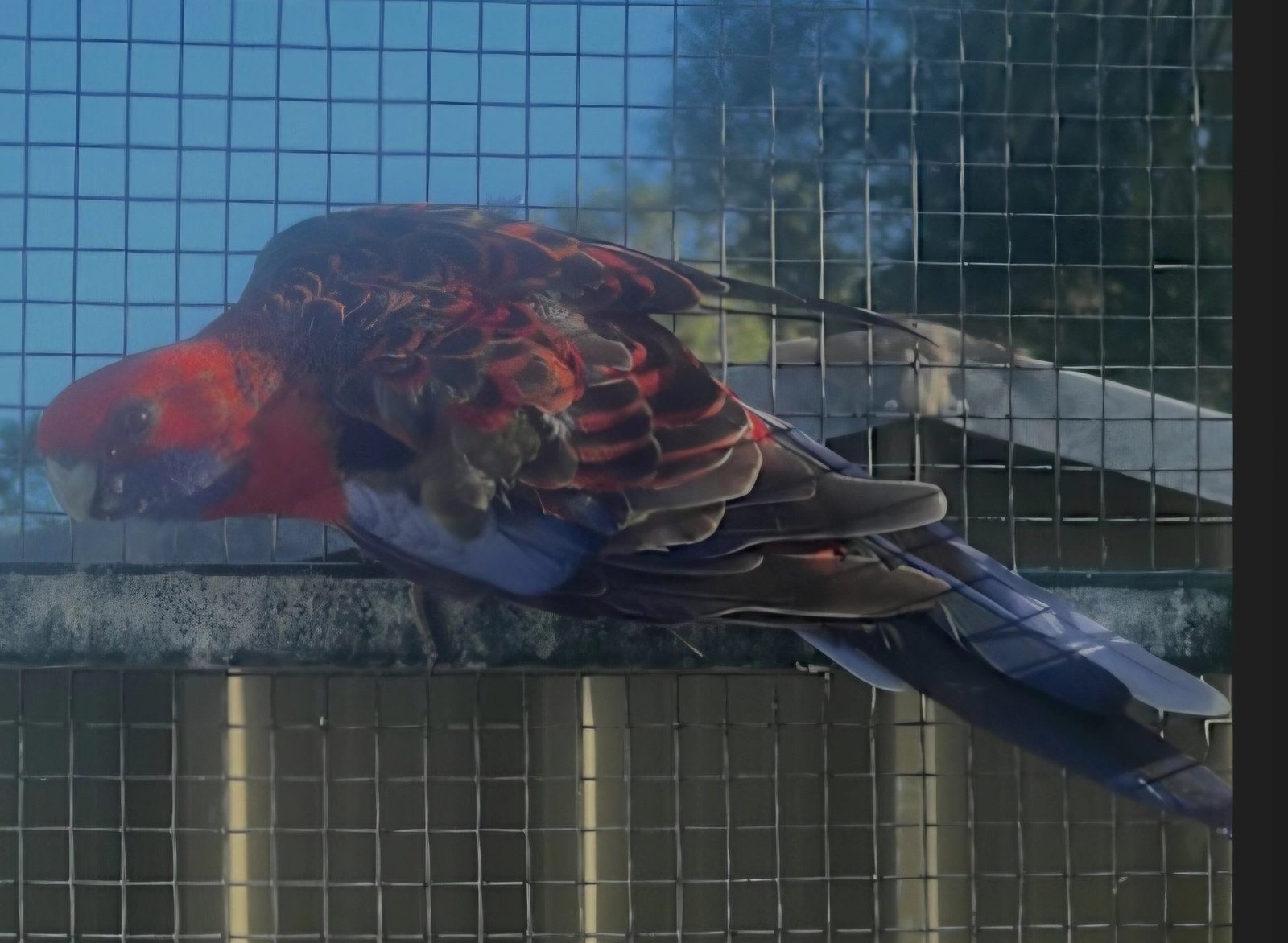 Screenshot_20251124_182111_Samsung Internet.webp