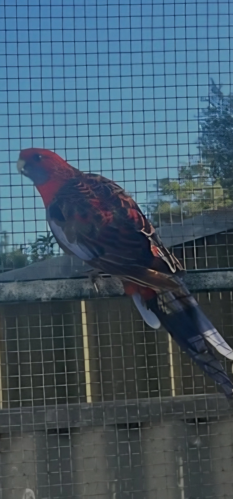 Screenshot_20251124_182116_Samsung Internet.webp