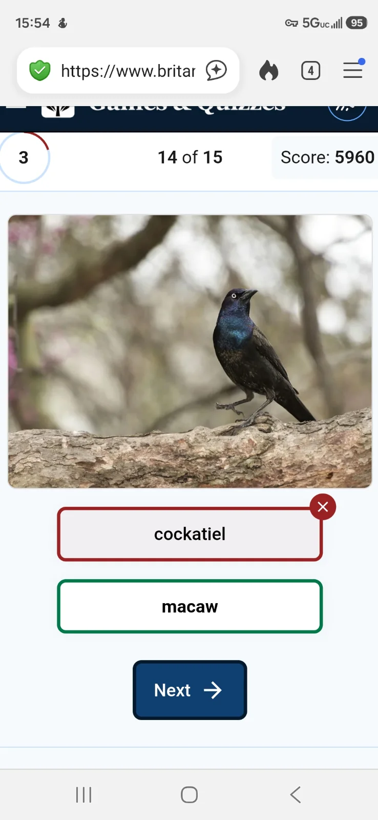 Screenshot_20260808_155458_DuckDuckGo.webp