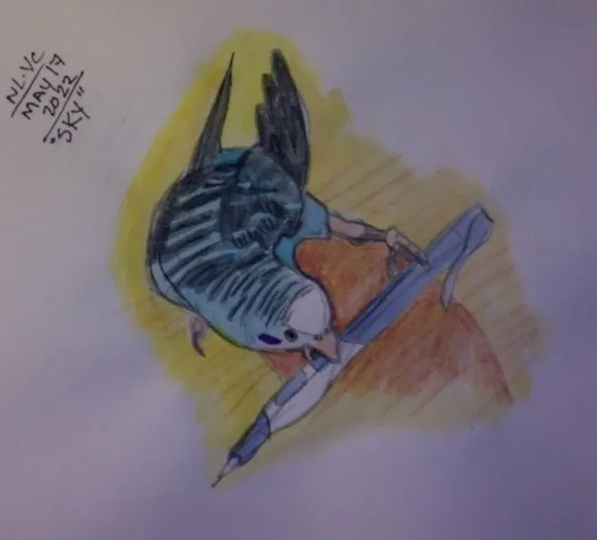 Sky-Budgie_Sketchbook Drabbles.webp