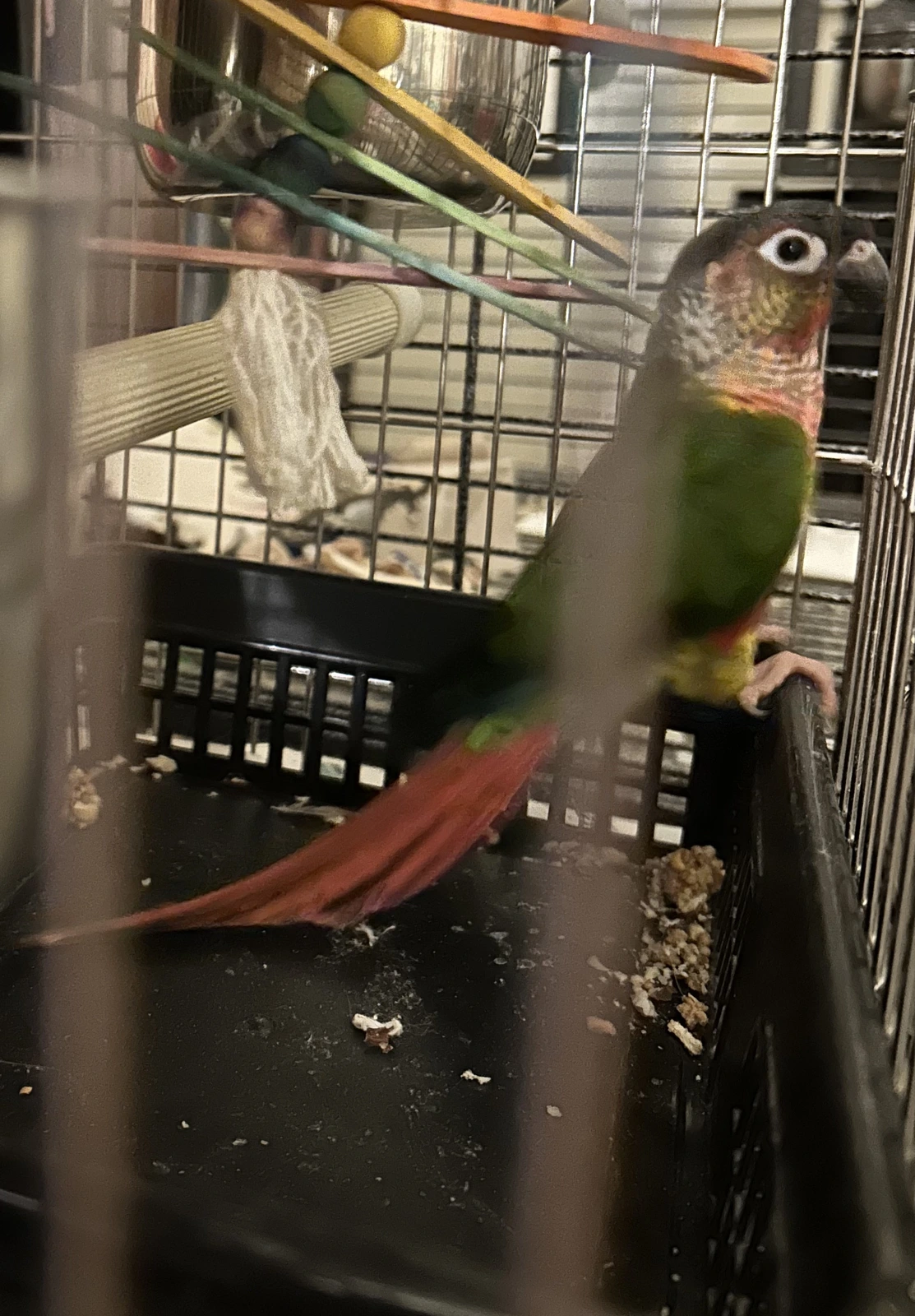 Tailagte_home_day1_Nov 29 2025.webp