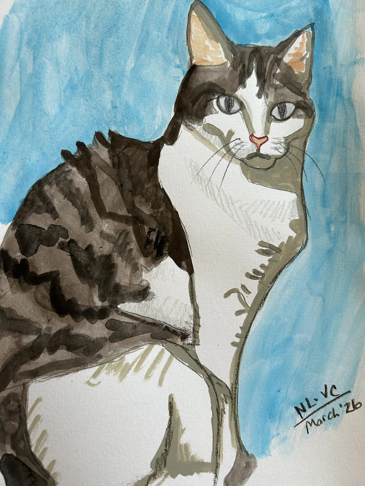 The Cat - Commission.webp