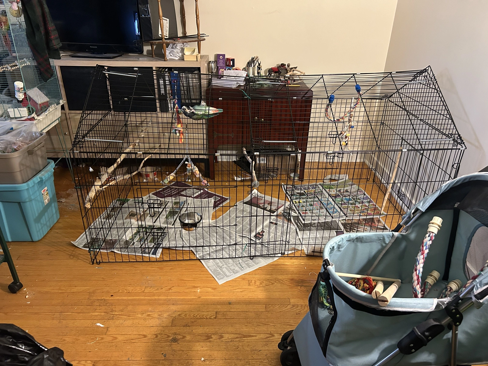 The chicken coop-Oct 31_2025.webp