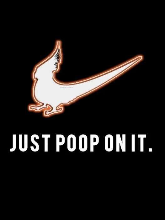 tielpoop.webp