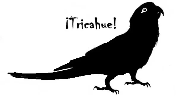 tricahue.webp