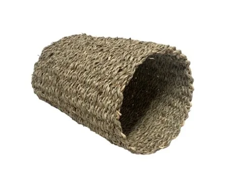 tunnel.webp