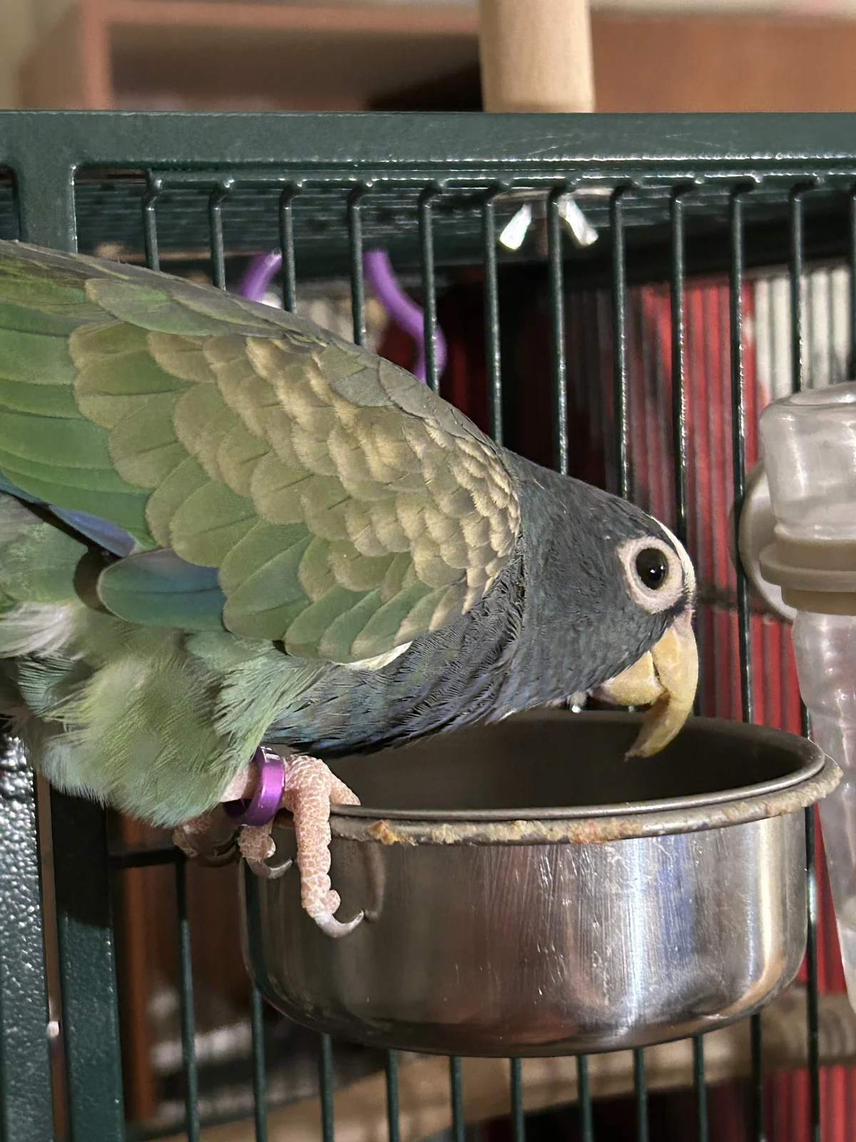 Vortex eat_feb 18_2026_6.webp