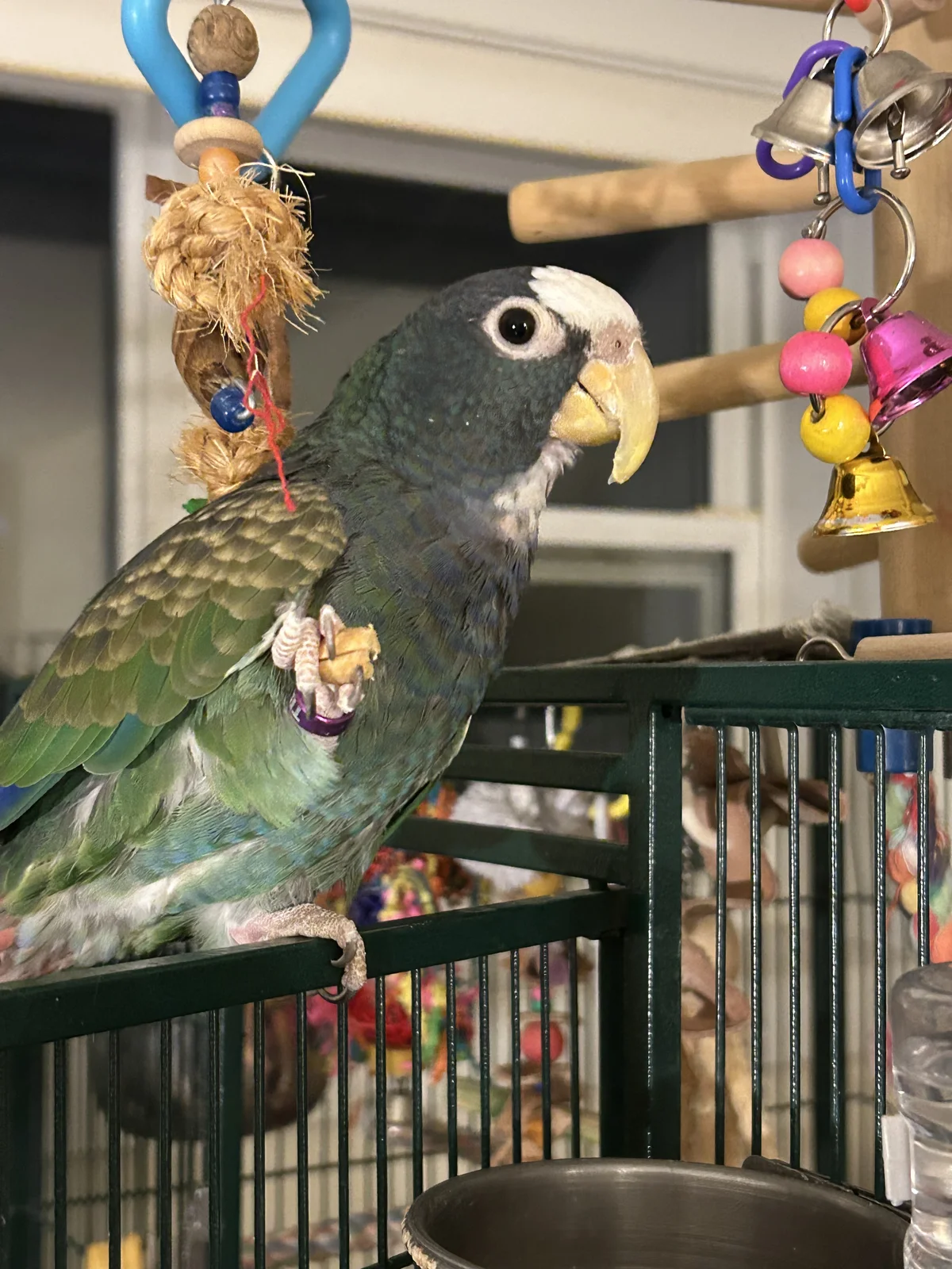 Vortex smile while eating_march 13 2026.webp