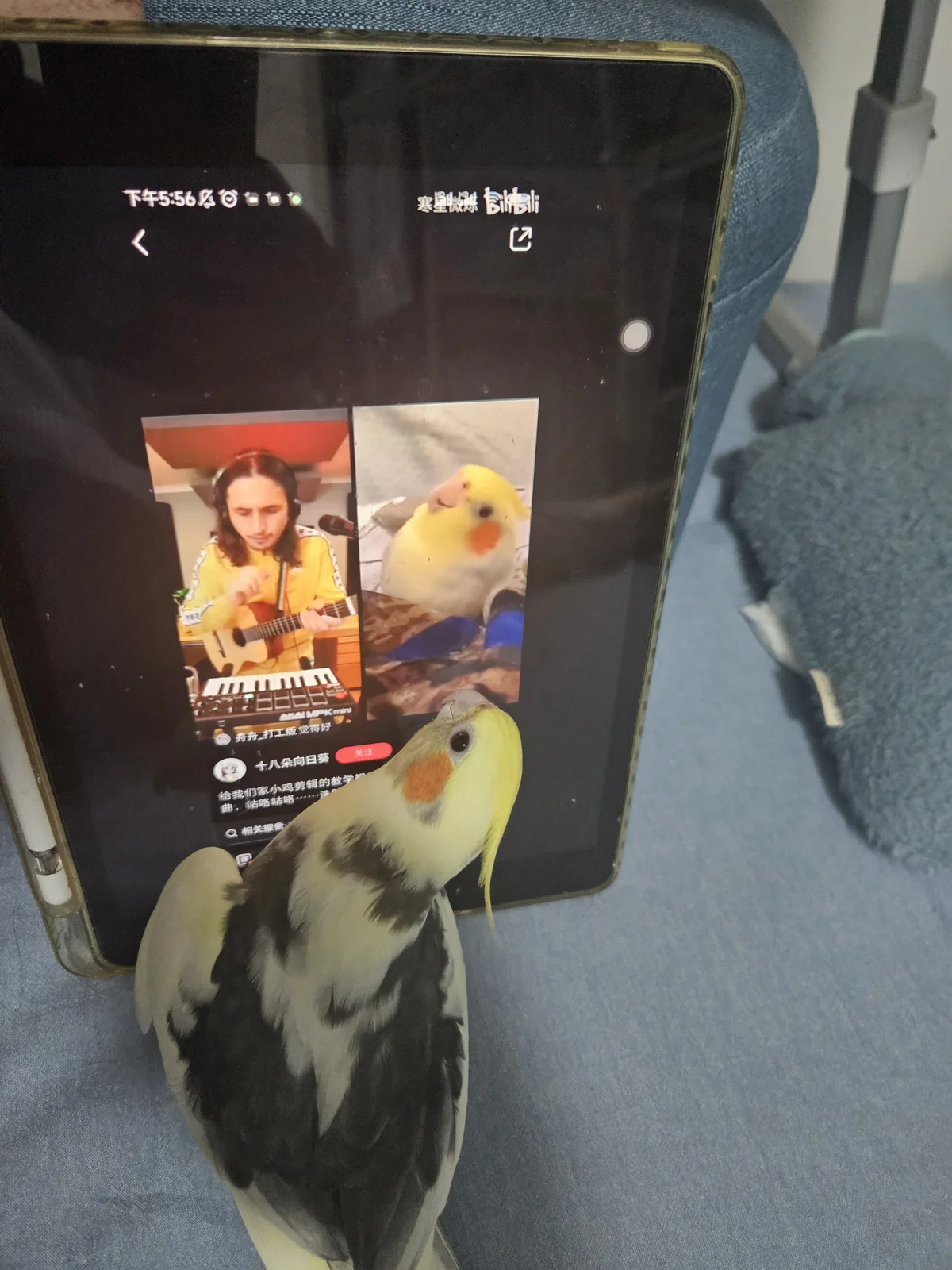 微信图片_20260615193129_240_163.webp