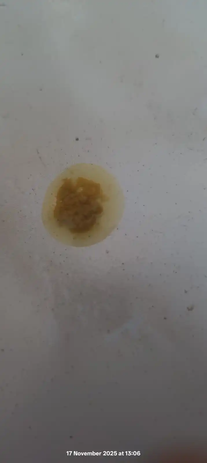 WhatsApp Image 2025-11-17 at 13.11.01.webp