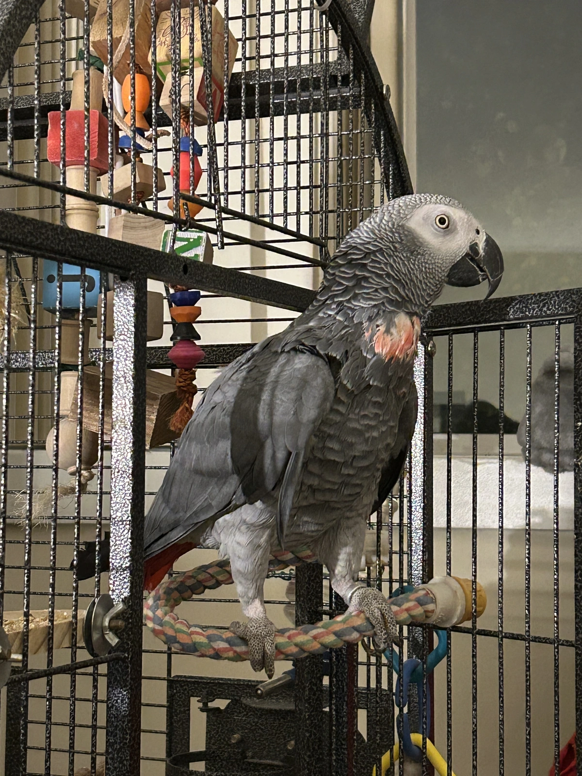 Yvons again_Oct 21_2025.webp