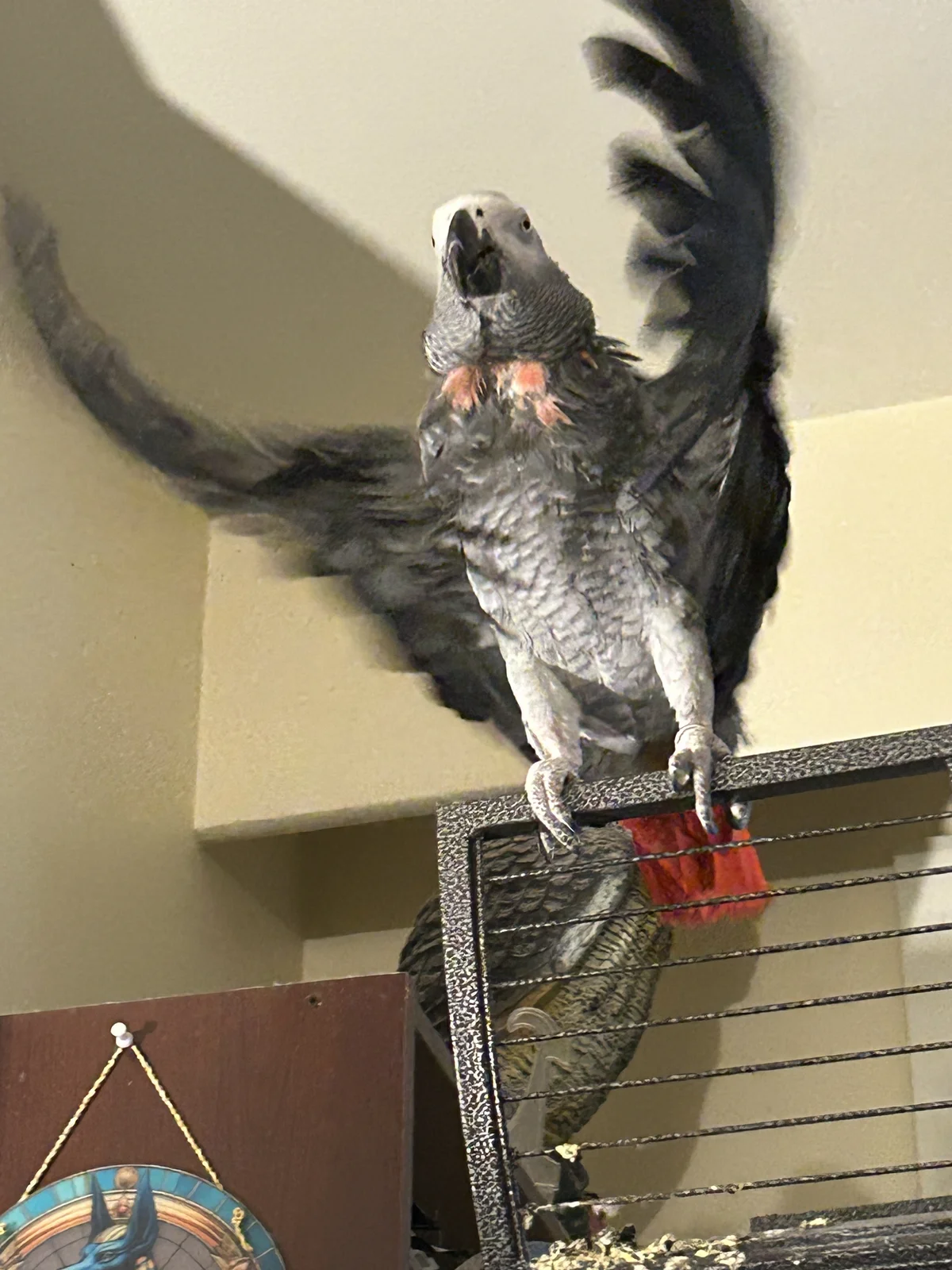 Yvons flap_Good_Aug 2026.webp