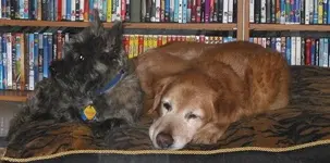 Merlyn and Conan.webp
