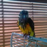 small24.webp