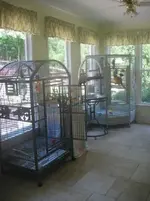 Bird room 1.webp
