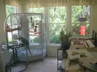 Bird room 2.webp